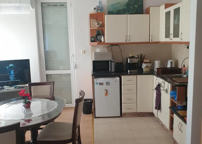 Sunny Sanny Parking Free *