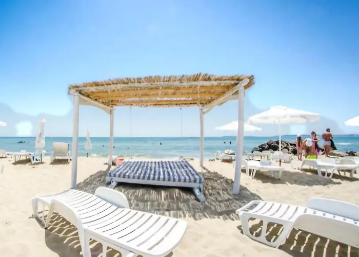 Sunny Sanny Parking Free *