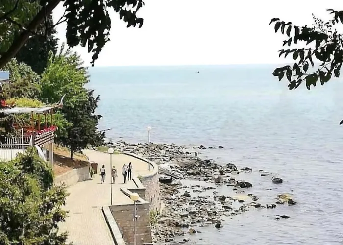 Sunny Sanny Parking Free *