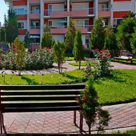 Sunny Sanny Parking Free *