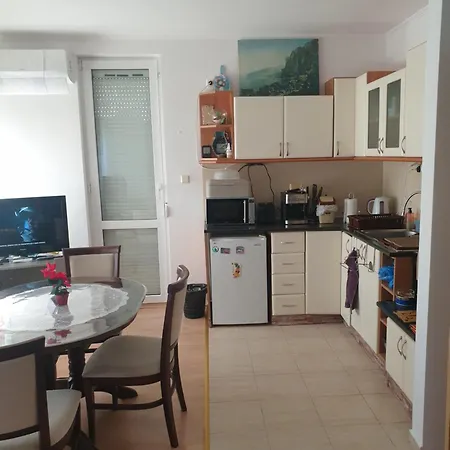 Sunny Sanny Parking Free *